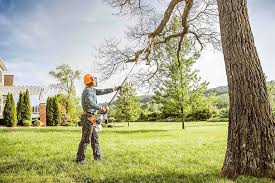 Best Emergency Tree Removal Services  in Holden Heights, FL